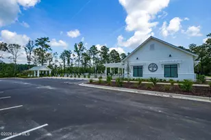 3021 Coastal Dream Wy, Leland, NC 28451 - Photo 44