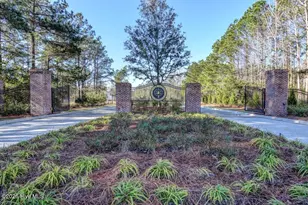 753 Jenoa Dr, Castle Hayne, NC 28429 - Photo 30