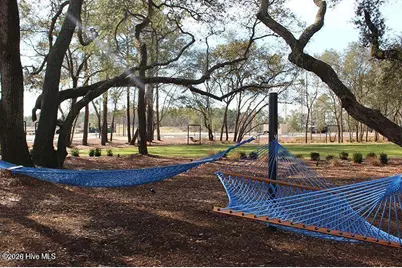 919 Everlong Lane, Wilmington, NC 28412 - Photo 24