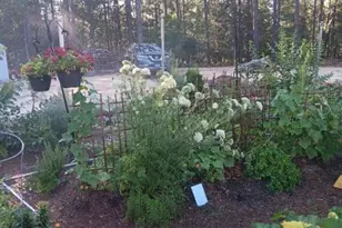 3 Bridle Pl, Jackson Springs, NC 27281 - Photo 46