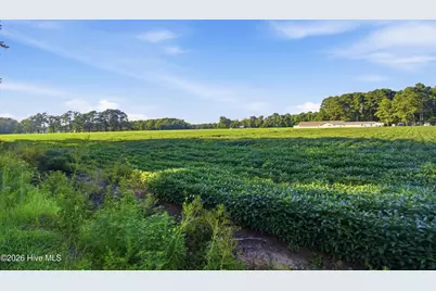 314 Camp Creek Drive, Oriental, NC 28571 - Photo 24