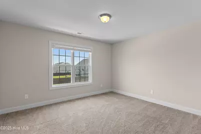 215 Old Field School Lane, Jacksonville, NC 28546 - Photo 30