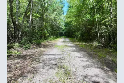 Lot 3 Mobley Road, Lucama, NC 27851 - Photo 30