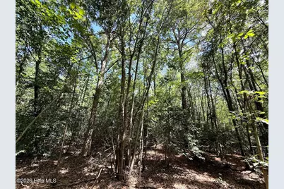 Lot 3 Mobley Road, Lucama, NC 27851 - Photo 26