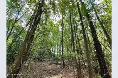 Lot 3 Mobley Road, Lucama, NC 27851 - Photo 8