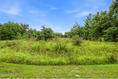 214 Royal Palms Way, Holly Ridge, NC 28445 - Photo 2