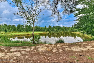 1241 Farmers Bridge Road, Keysville, GA 30816 - Photo 30