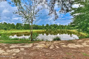 1241 Farmers Bridge Rd, Keysville, GA 30816 - Photo 30