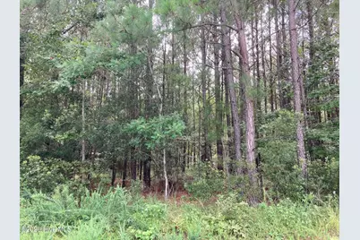 Lot # 33 33 Pine Crest Road, Bath, NC 27808 - Photo 6