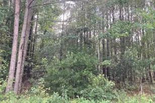 Lot # 33 33 Pine Crest Rd, Bath, NC 27808 - Photo 1
