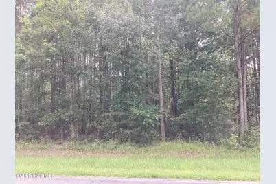 Lot # 33 33 Pine Crest Road, Bath, NC 27808 - Photo 4