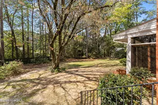 225 Arbutus Rd, Southern Pines, NC 28387 - Photo 46