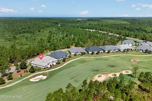 8700 Horse Nettle Dr NE, Leland, NC 28451 - Photo 48