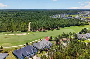 8700 Horse Nettle Dr NE, Leland, NC 28451 - Photo 44