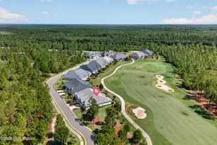 8700 Horse Nettle Dr NE, Leland, NC 28451 - Photo 50