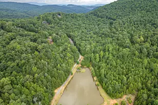 22 Hudson Springs Ln, Murphy, NC 28906 - Photo 54