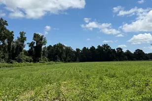 6514 Princess Ann Rd, Evergreen, NC 28438 - Photo 1