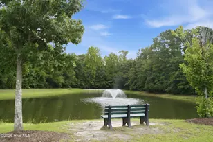 4525 Combs Forest Ct, Leland, NC 28451 - Photo 50