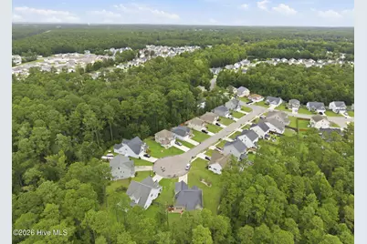 4525 Combs Forest Court, Leland, NC 28451 - Photo 44