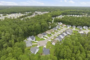 4525 Combs Forest Ct, Leland, NC 28451 - Photo 44