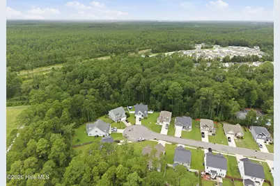 4525 Combs Forest Court, Leland, NC 28451 - Photo 44