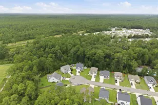 4525 Combs Forest Ct, Leland, NC 28451 - Photo 44