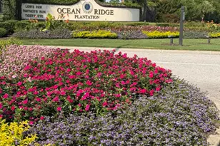 6840 Weeping Willow Pl SW, Ocean Isle Beach, NC 28469 - Photo 2
