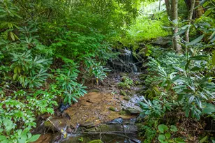 7261 Yellow Creek Rd, Robbinsville, NC 28771 - Photo 42