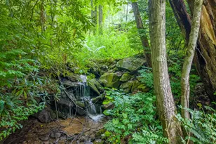 7261 Yellow Creek Rd, Robbinsville, NC 28771 - Photo 44