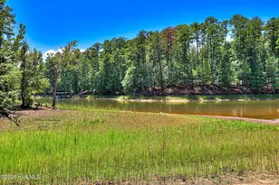 806 Sturbridge Dr, McCormick, SC 29835 - Photo 50