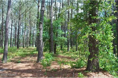 795 Wild Oak Lane NW, Calabash, NC 28467 - Photo 1