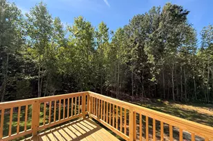 320 One Tree Hill, Sanford, NC 27330 - Photo 40
