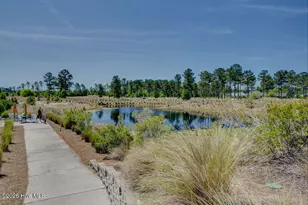 5030 Killogren Way, Leland, NC 28451 - Photo 70