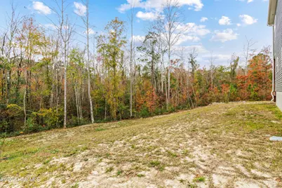 421 Blockade Shoal Lane, Jacksonville, NC 28546 - Photo 28