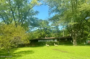 7324 &7320 Hwy 294, Murphy, NC 28906 - Photo 2