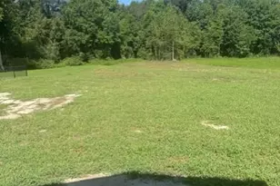 107 Sagewood Dr, Dudley, NC 28333 - Photo 4