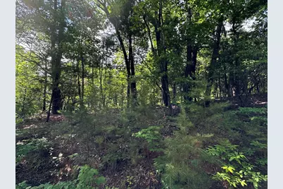 Lot 31 Peak Trail, Murphy, NC 28906 - Photo 6