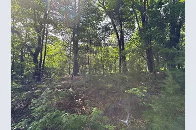 Lot 31 Peak Trail, Murphy, NC 28906 - Photo 4