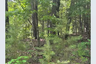 Lot 31 Peak Trail, Murphy, NC 28906 - Photo 2