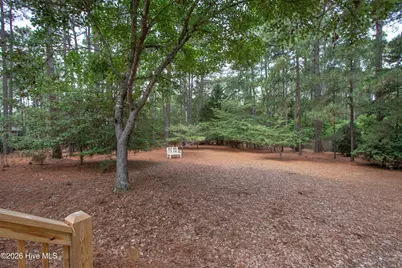 585 Donald Ross Drive, Pinehurst, NC 28374 - Photo 46