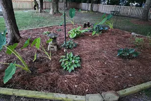 105 Travis Dr, Beaufort, NC 28516 - Photo 60