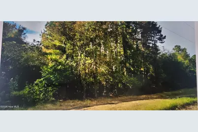 Lot 1 Sr 1178 Highway, Chocowinity, NC 27817 - Photo 4