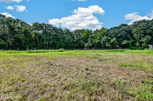 221 Myrtle Sholar Rd, Wallace, NC 28466 - Photo 42