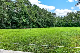 221 Myrtle Sholar Rd, Wallace, NC 28466 - Photo 50