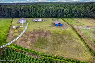 221 Myrtle Sholar Rd, Wallace, NC 28466 - Photo 52