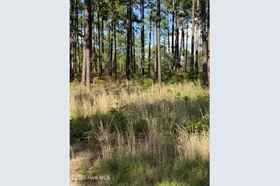 481 N Fort Bragg Road, Southern Pines, NC 28387 - Photo 2