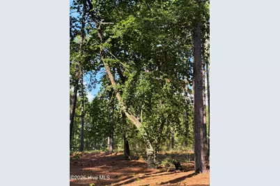 481 N Fort Bragg Road, Southern Pines, NC 28387 - Photo 6