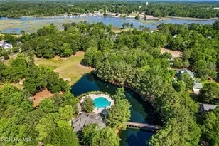 1302 Forest Reserve Ct SW, Calabash, NC 28467 - Photo 78