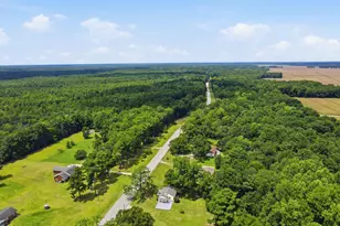 10387 Nc 306 S, Arapahoe, NC 28510 - Photo 20