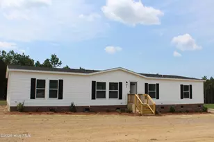 950 Blind Bridge Rd, Magnolia, NC 28453 - Photo 1
